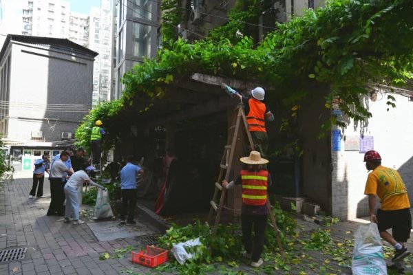 盈通策略 携手共筑“两热”防线——荔湾区持续开展爱国卫生运动统一行动