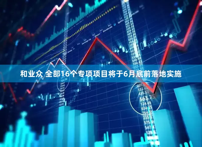 和业众 全部16个专项项目将于6月底前落地实施
